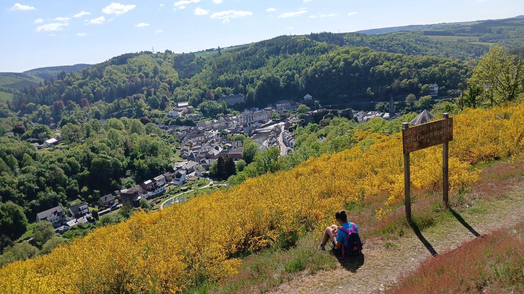 Le Panorama Villa La-Roche-en-Ardenne Dış mekan fotoğraf